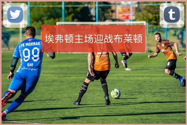 埃弗顿主场迎战布莱顿