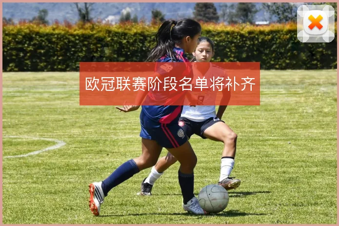 欧冠联赛阶段名单将补齐